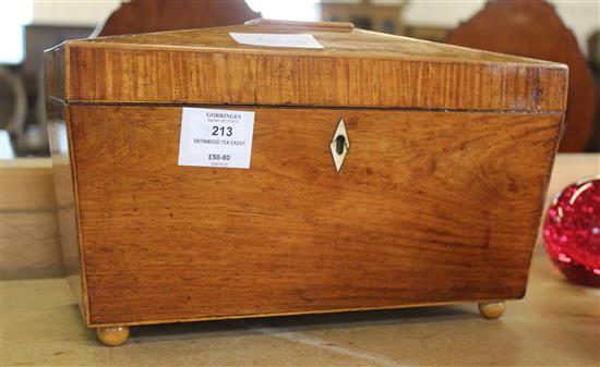 Satinwood tea caddy